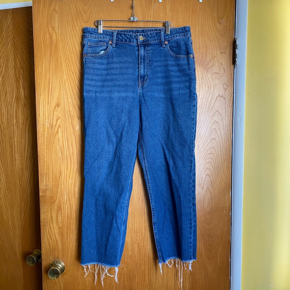 Wild Fable High Rise Straight Ankle Jeans